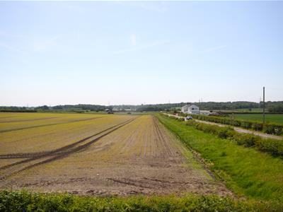 Picture 28